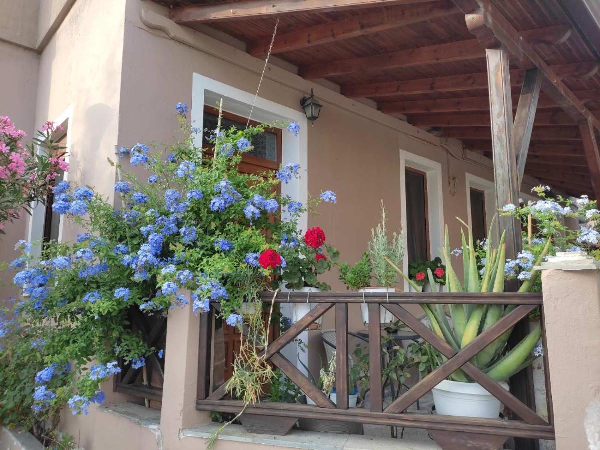Plumbago Apartment Theologos  Екстер'єр фото
